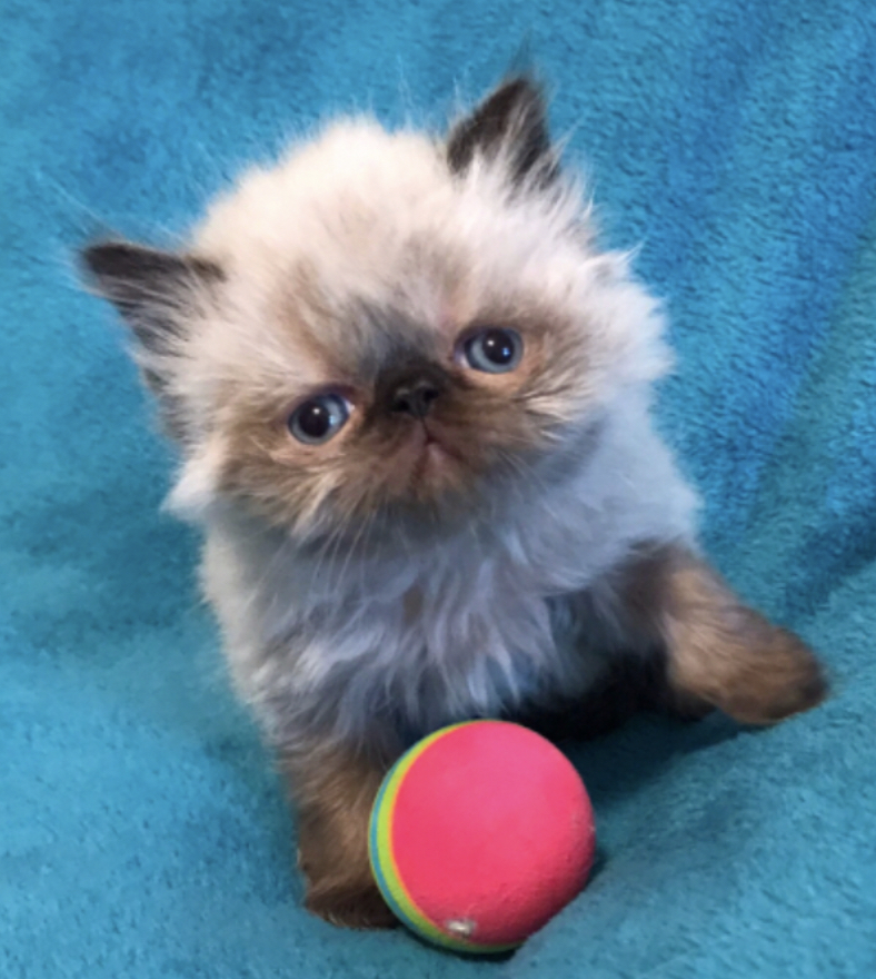 3D0D04F5-1A42-4A16-A2AA-CCA9FC0FCAB8