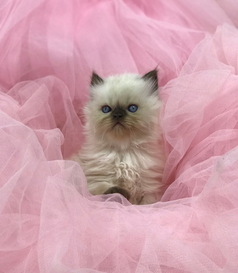 404F83BD-32F2-4671-BF3F-029129BFB637