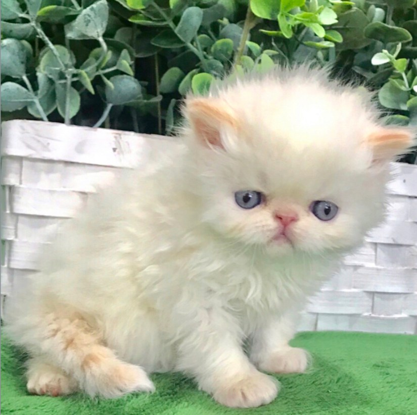 6168BF0C-CEB8-48D4-B123-9BEBCDB07A37