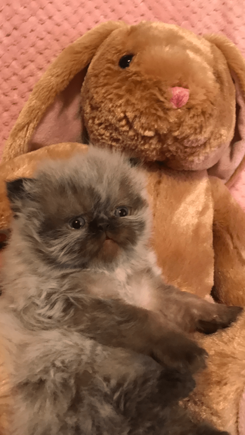 D4297451-99BA-4EBA-BD4D-47FE546998BC