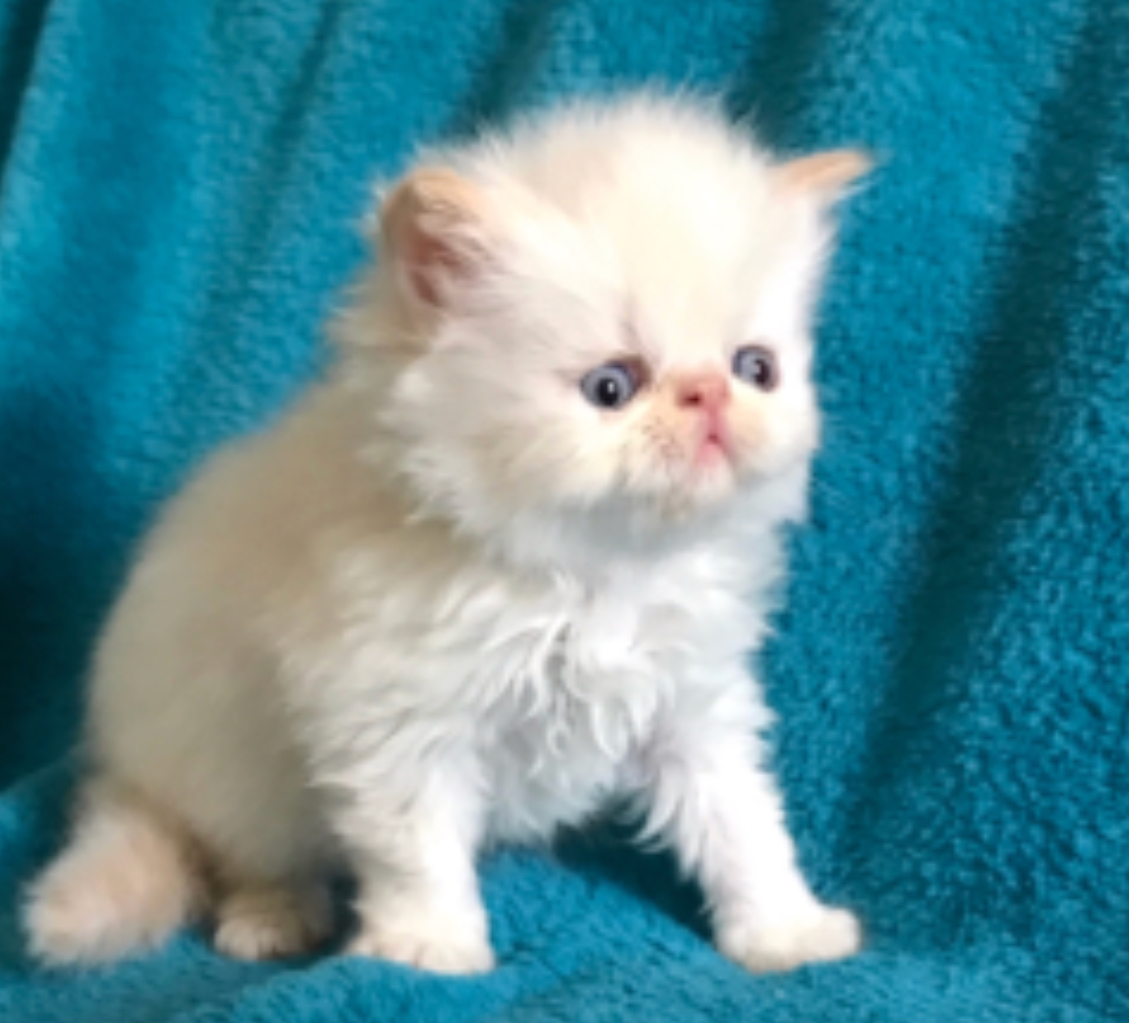 B937799E-530C-4CCD-80AA-E577176BBD62