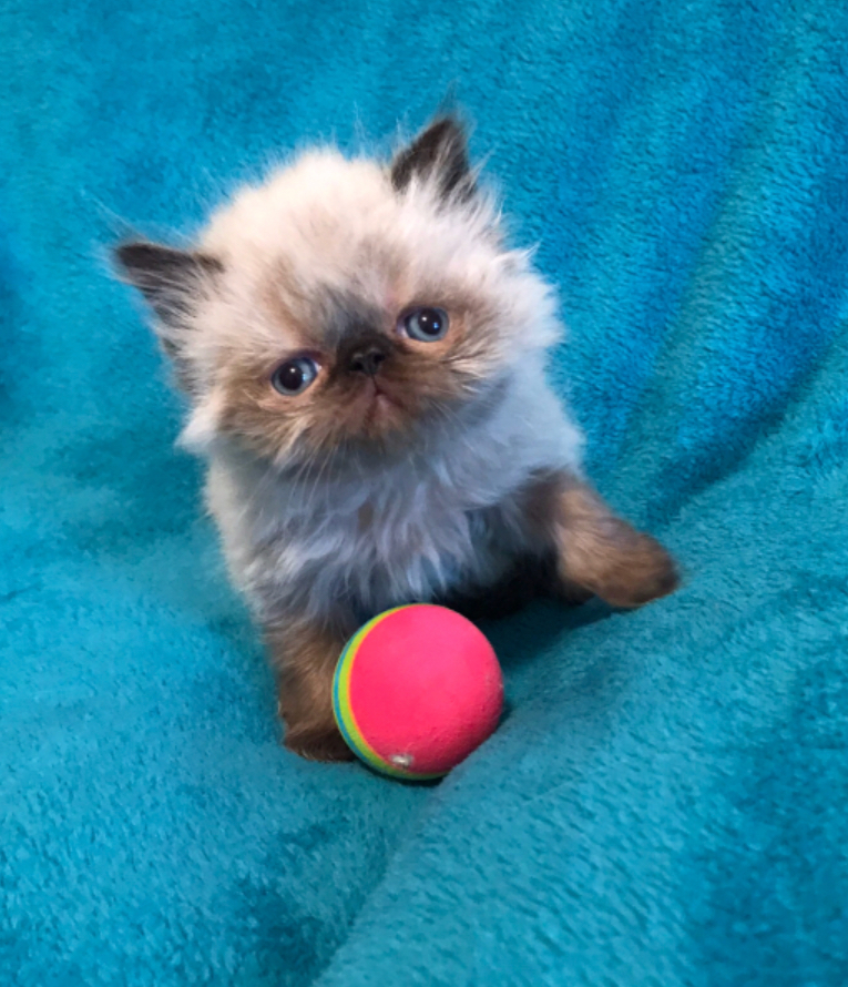 D144A008-E4A7-4B95-B46D-BF2A128BE30B