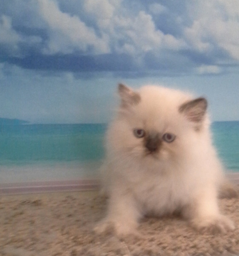 1947BF53-1094-4242-A786-2331654F139F