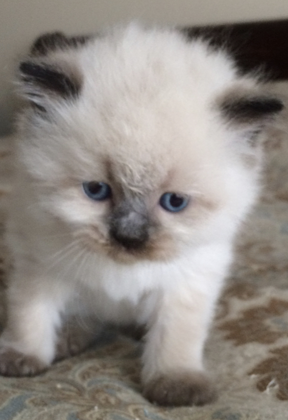 1FB83D98-81D2-45AE-B091-D2A4EECC53D5