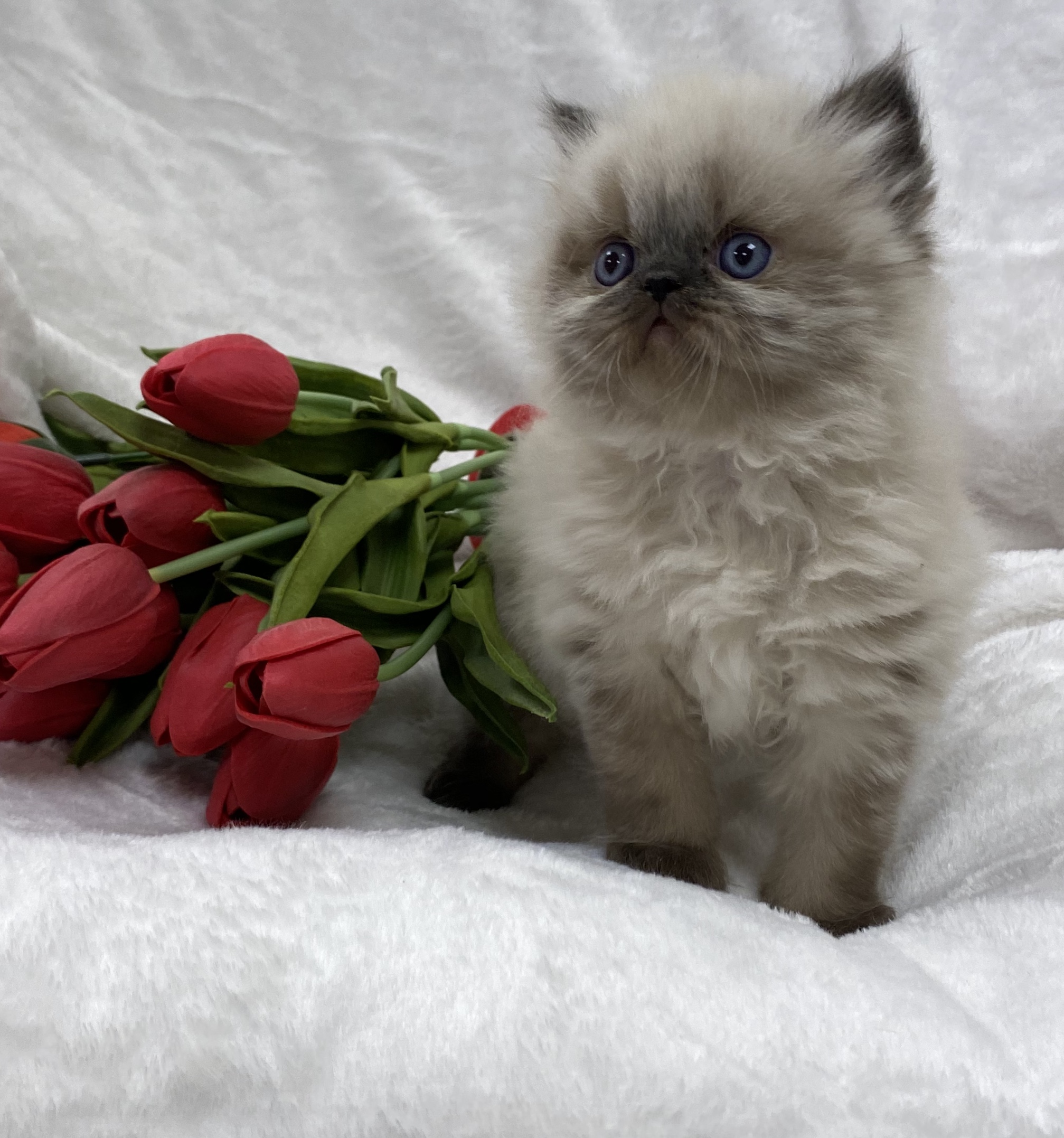 3CCD7B68-D37D-4C14-A6A5-5B36F11A3FEF