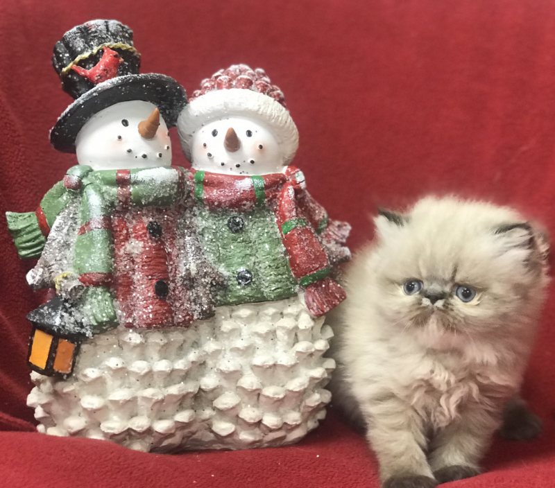 EA36353C-1A9D-4EEE-941F-AFD4D17FD222