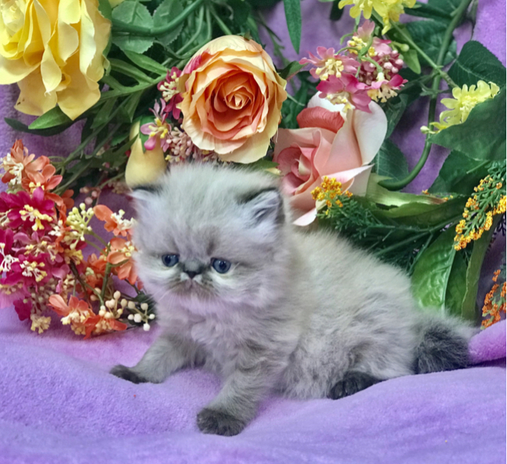 F2F2F942-5F18-4F70-A728-EB3CBA25E276