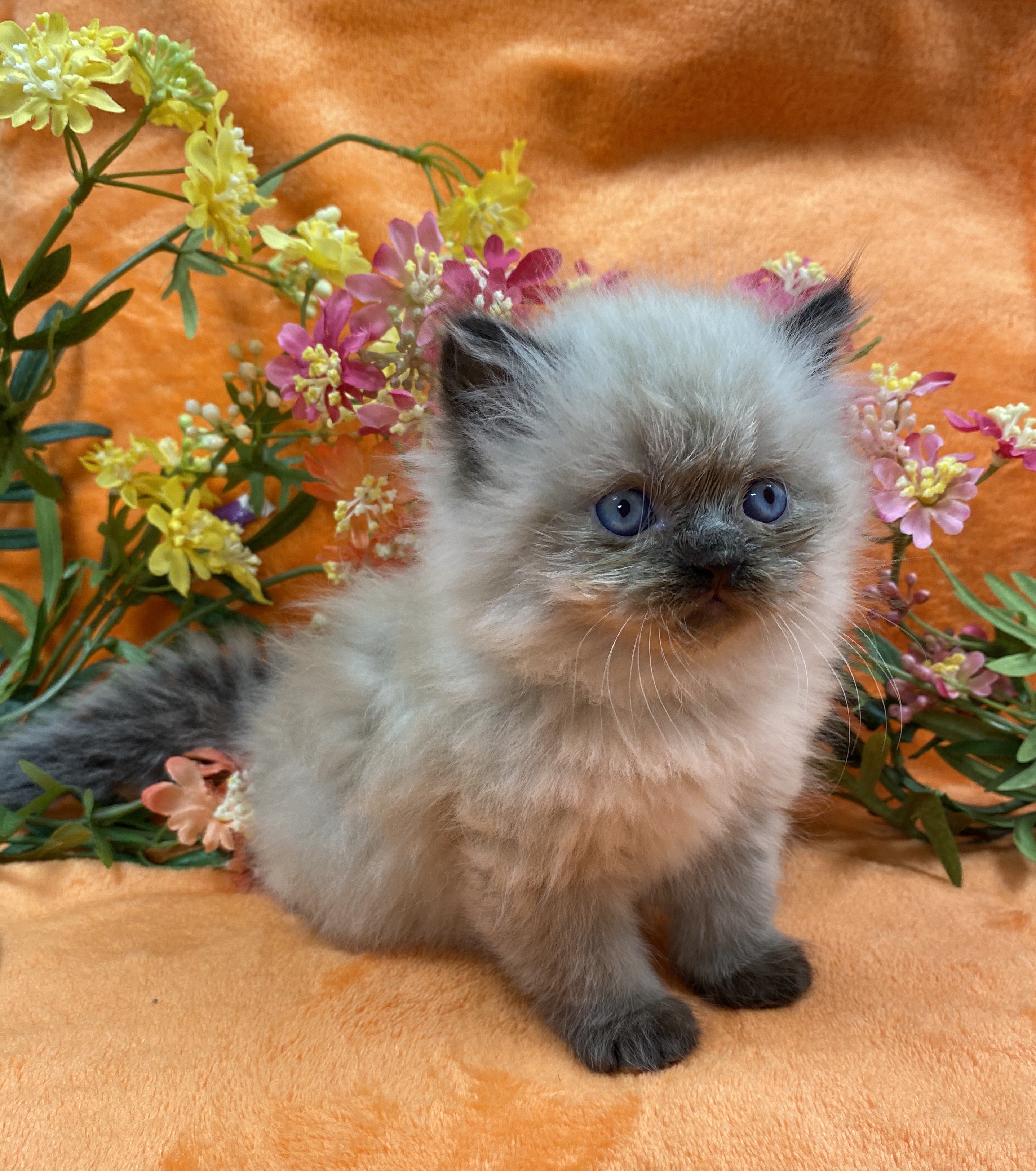 6F5ACC27-6F8C-4EF4-BBB3-5ECB590C174A