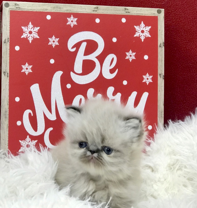 6087300A-F6FD-489B-90B0-BD60835B9B5F