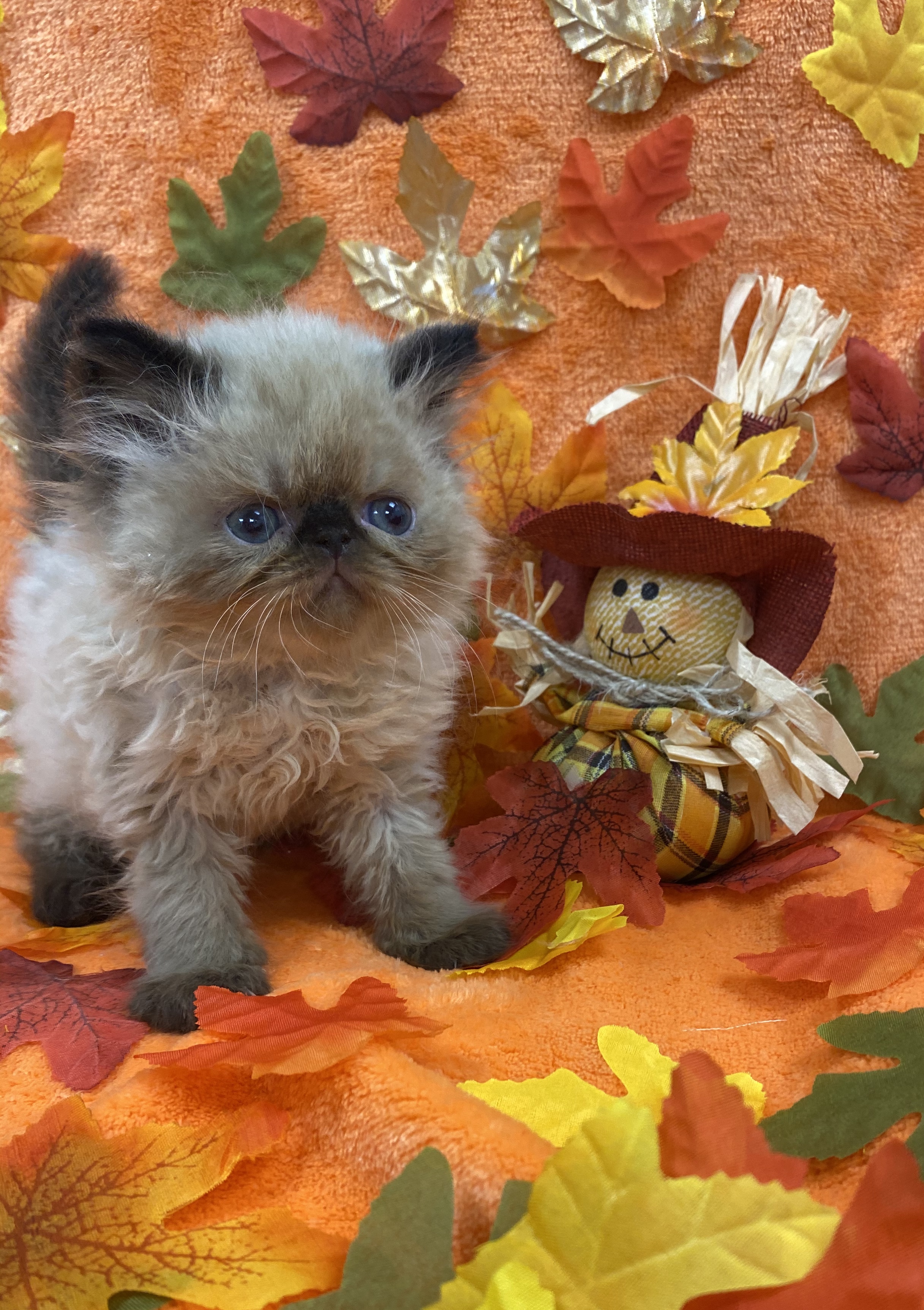 DB34444E-68BA-432A-9C03-A3A7B893ED05