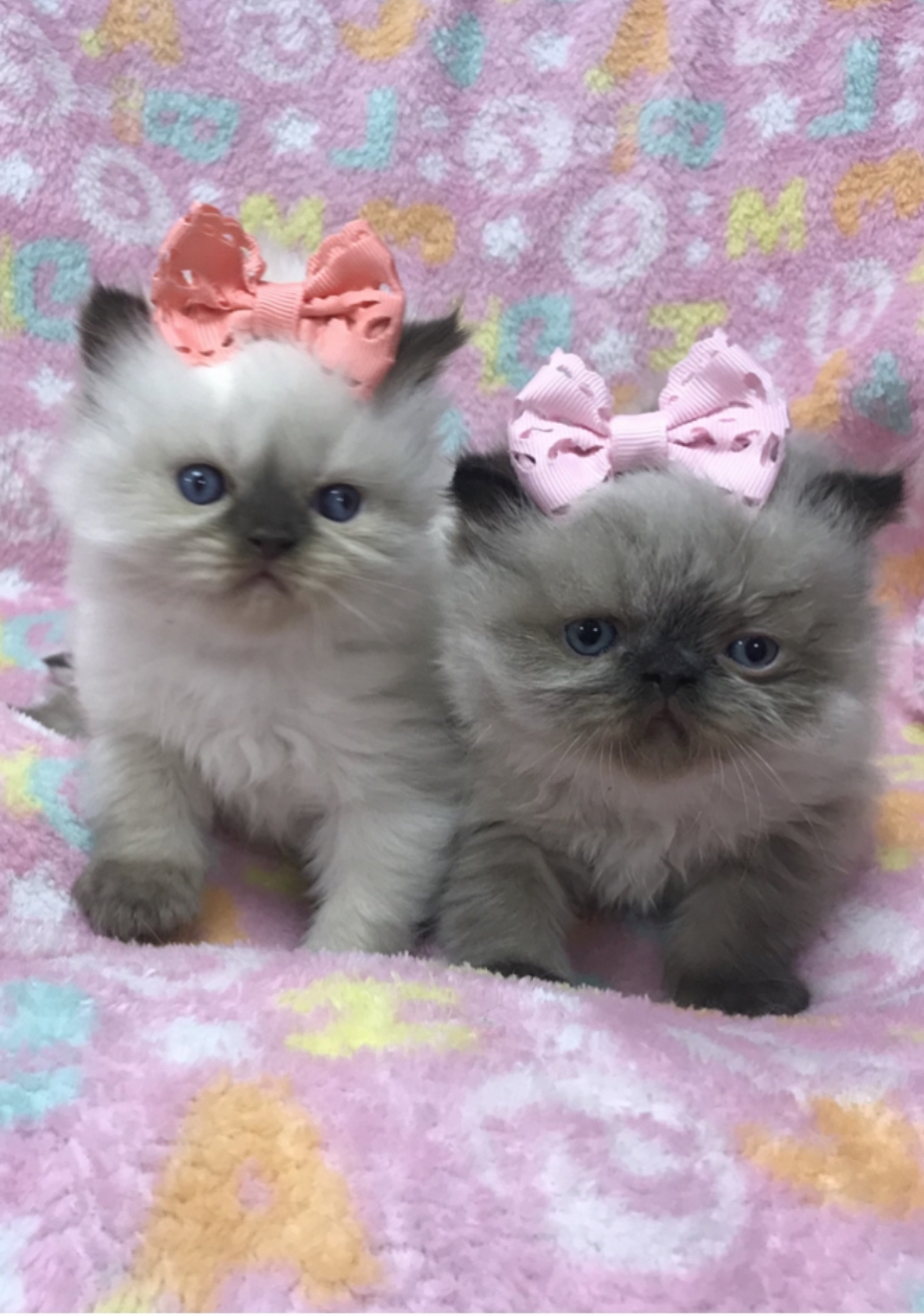 7E4F555D-3988-43A8-8D59-6E19F295731A