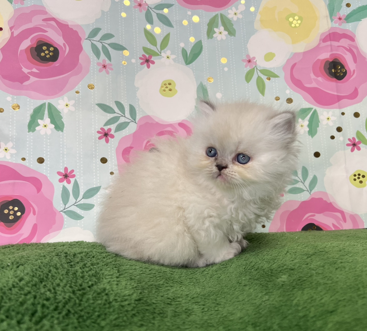 C1247F38-4469-4987-A0FB-FF0443828D2A